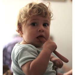 Soina - Begynder ske - St 2 stk. - Kastanje 