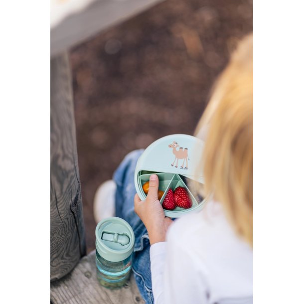 Carl Oscar - Vandflaske 2 i 1 med aftagelig bundkop - Gr�n Kamel 