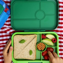 Yumbox Tapas Bento Madkasse - 4 rum - Palm Grn med Lime Bakke