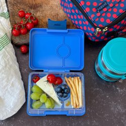 Yumbox Snack - 3 rum surf bl�/ Dinosaur 