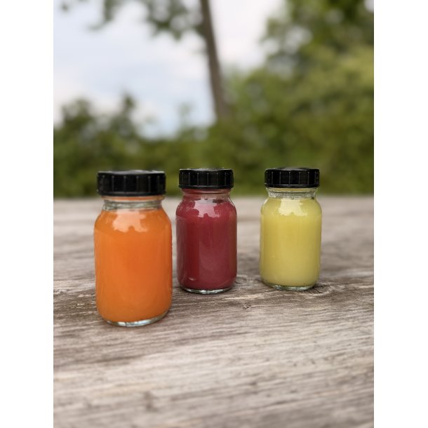 Mini Flasker i Glas - 100 ml - 3 stk. 