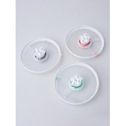 GBe Kids - Udskifteligt lg - Mint grn