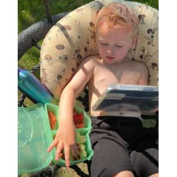 Melii Snack Box - Grn - Dino 