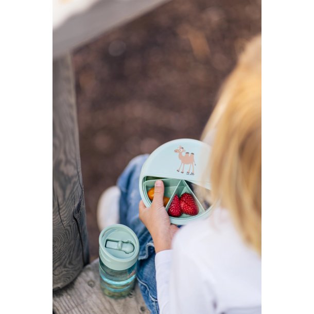 Carl Oscar - Mini Disc 12 cm. - Gr�n med Kamel 