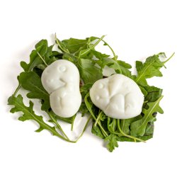 LEKKABOX ggeforme - Dinosaur - 2 stk. 