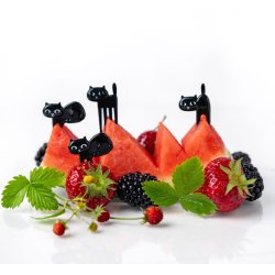 LEKKABOX Madpinde - Sorte katte 6 stk.  