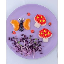 Lunch Punch sandwich udstikkers�t - Fairy