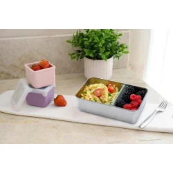 Melii Rustfrit stl bento-boks med lg og aftagelig skillevg - Salvie