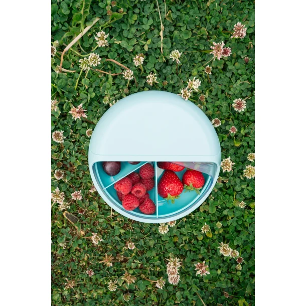 Carl Oscar - Snack Disc 15 cm. - Bl